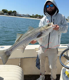 Striped Bass & Haddock are Biting!!!
