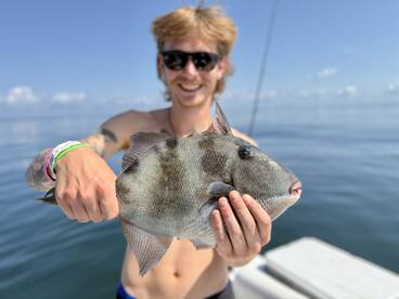 Gulf Breeze Report Photo 2