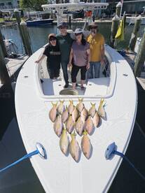 Flag yellowtails! They are chewing peopl