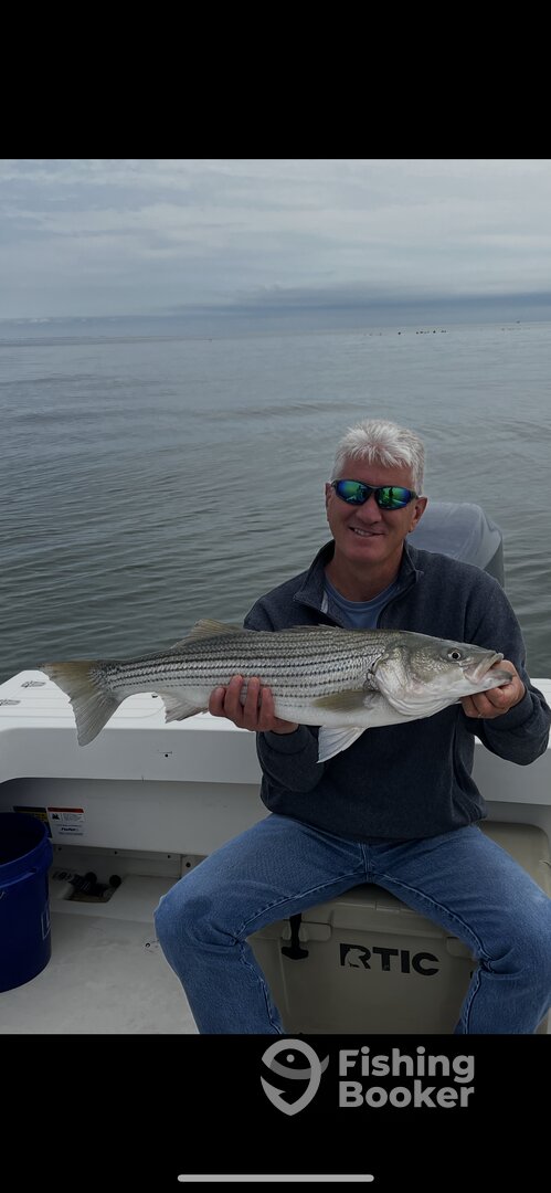 Crisfield Report Photo 0