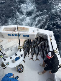 Nags Head Report Photo 1