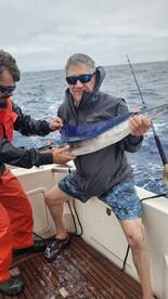 A different fish: spearfish.