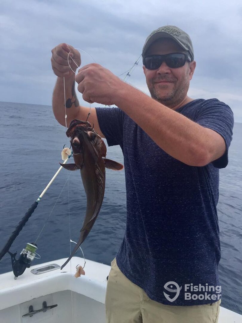 Quepos Report Photo 0