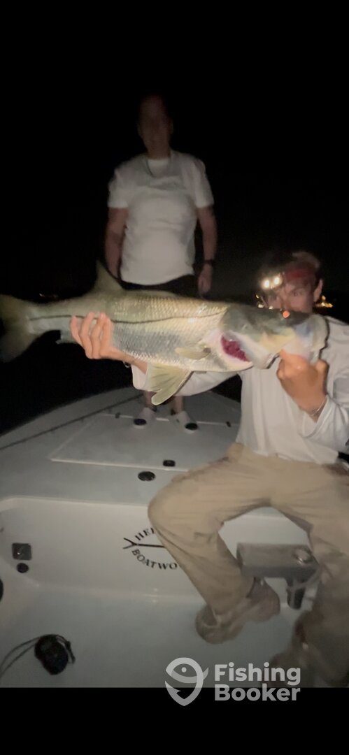 St. Petersburg Report Photo 0