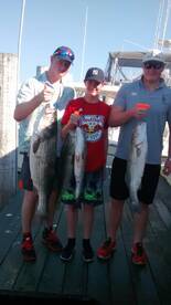 August Fun In The Sun