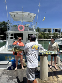 Puerto Aventuras Report Photo 2
