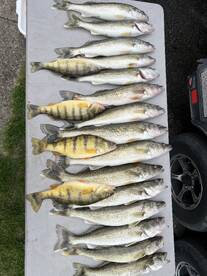 Au Gres has been on FIRE!