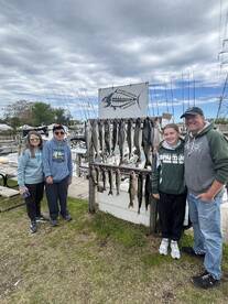 King and Coho Salmon are here!