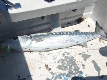 Puerto Morelos Report Photo 1