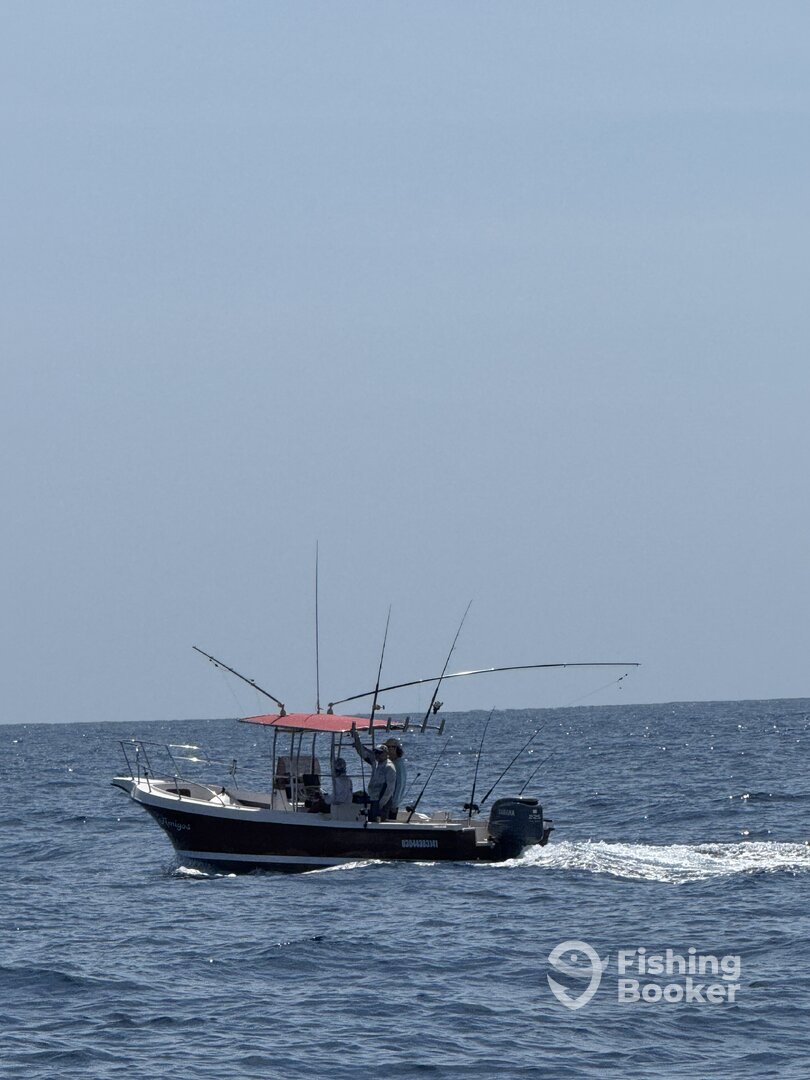 La Ribera Report Photo 0