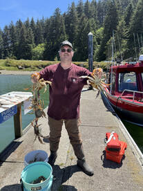 Winchester bay crabbing 
