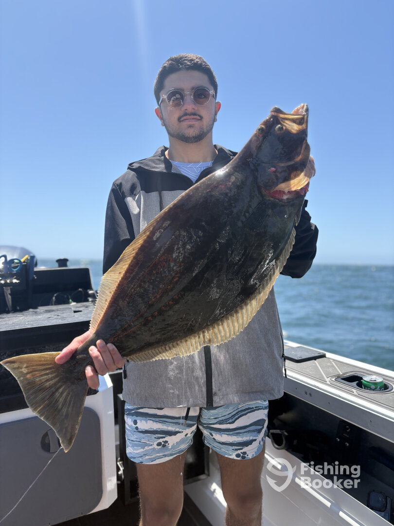 Santa Cruz Report Photo 0