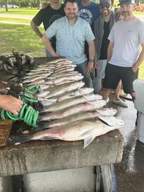 Kingston Report Photo 1