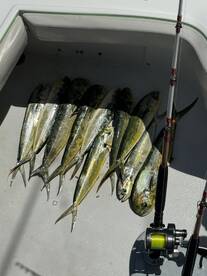 Fort Lauderdale Report Photo 2