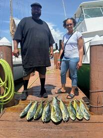 Dania Beach Report Photo 2