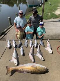 Gulf Shores Report Photo 2