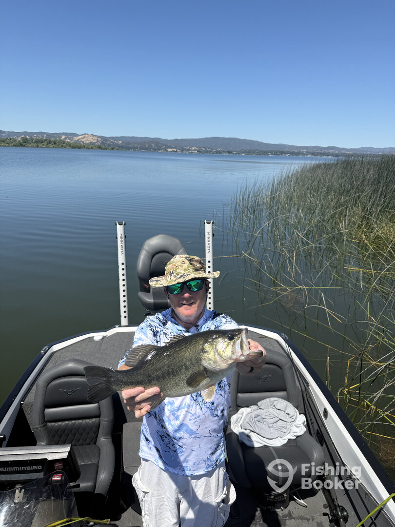 Lakeport Report Photo 0