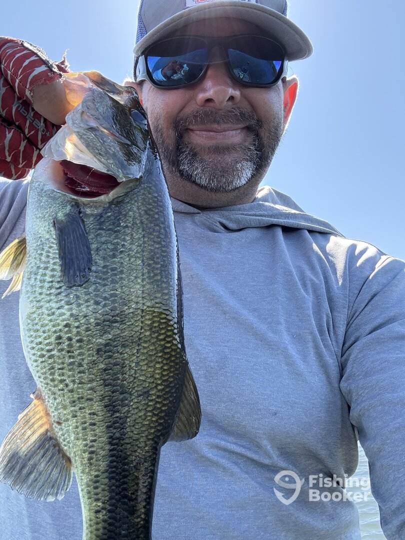 Bethel Island Report Photo 0