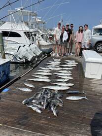 Manteo Report Photo 2