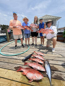 Snapper catches