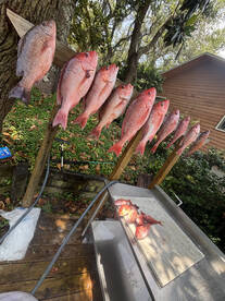 6 hr  on game changer 