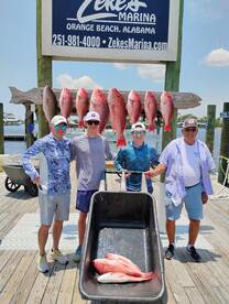 Snapper season 