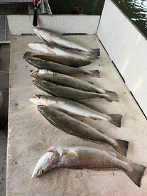 Rockport Report Photo 2