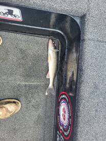 Lake City Report Photo 3