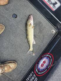Lake City Report Photo 2