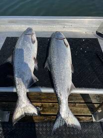Vancouver Island Report Photo 1
