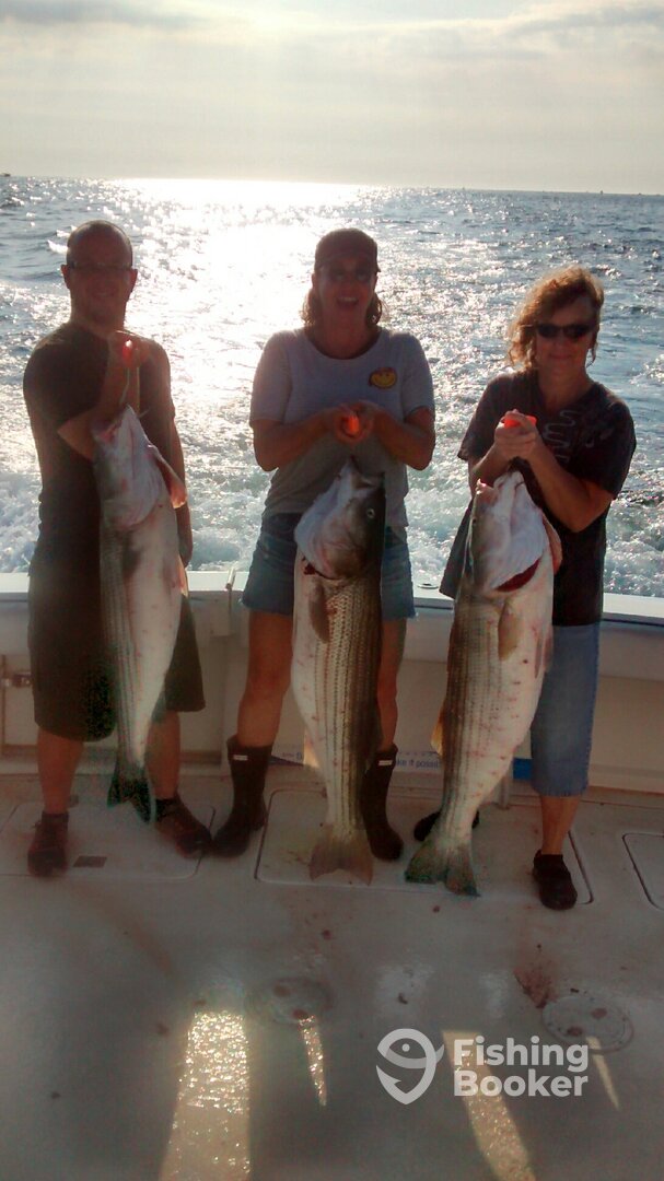 Montauk Report Photo 0