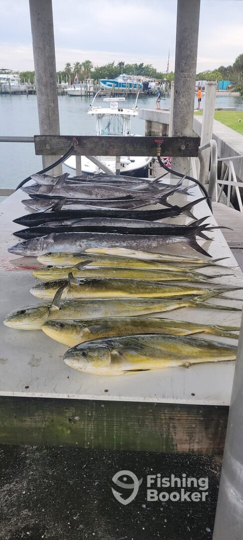 Vero Beach Report Photo 0