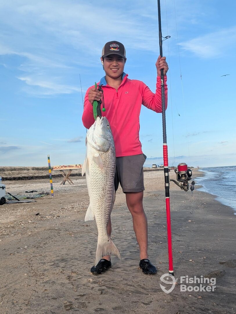 Creole Report Photo 0