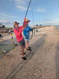 Creole Report Photo 2