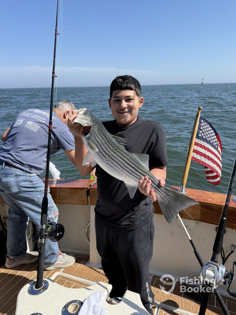 Branford Report Photo 0