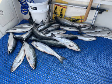 Port Washington Report Photo 2