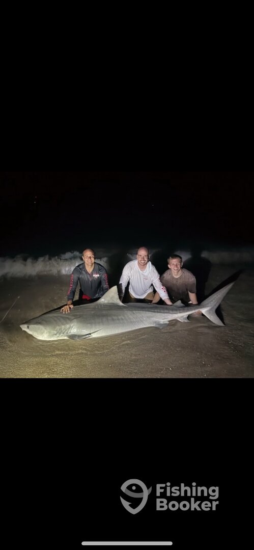Indialantic Report Photo 0