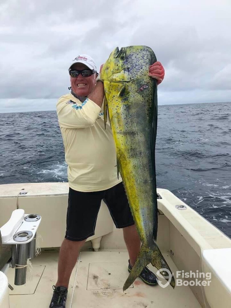 Islamorada Report Photo 0