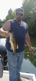 Branson Report Photo 1