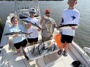 Dauphin Island Report Photo 1