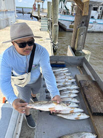 Trout!!! Trout and Trout