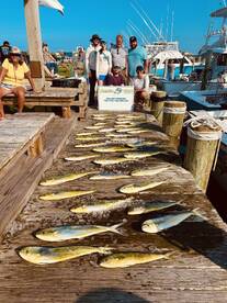 Mahi Mahi! So nice they named it twice