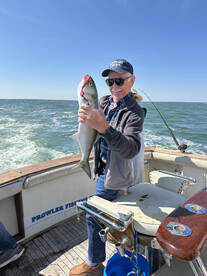 Norfolk Report Photo 1