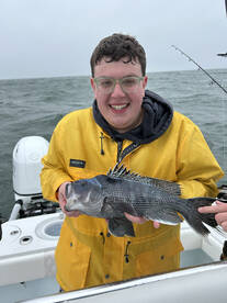 Barnstable Report Photo 1