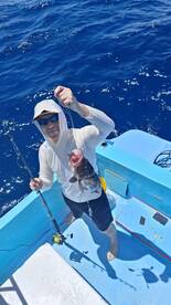 Pez vela y cabrillas 