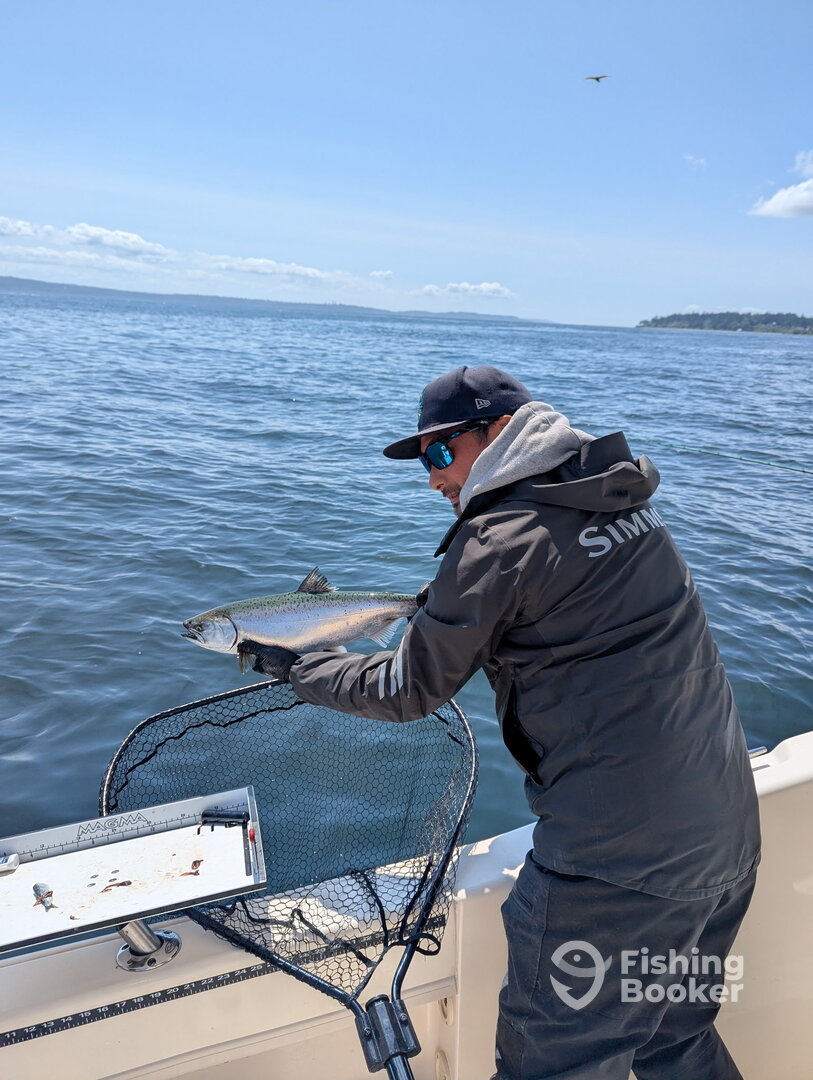 Edmonds Report Photo 0