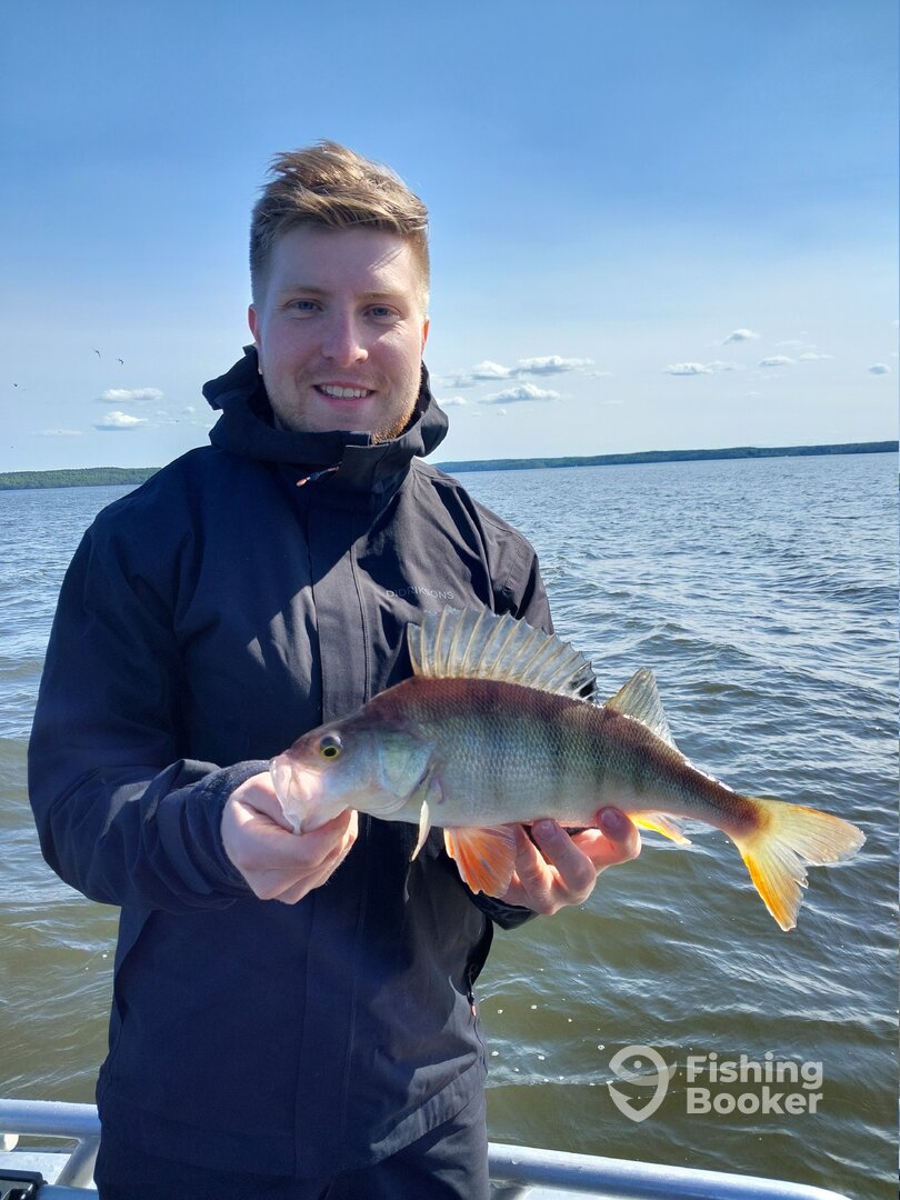 Sweden Report Photo 0