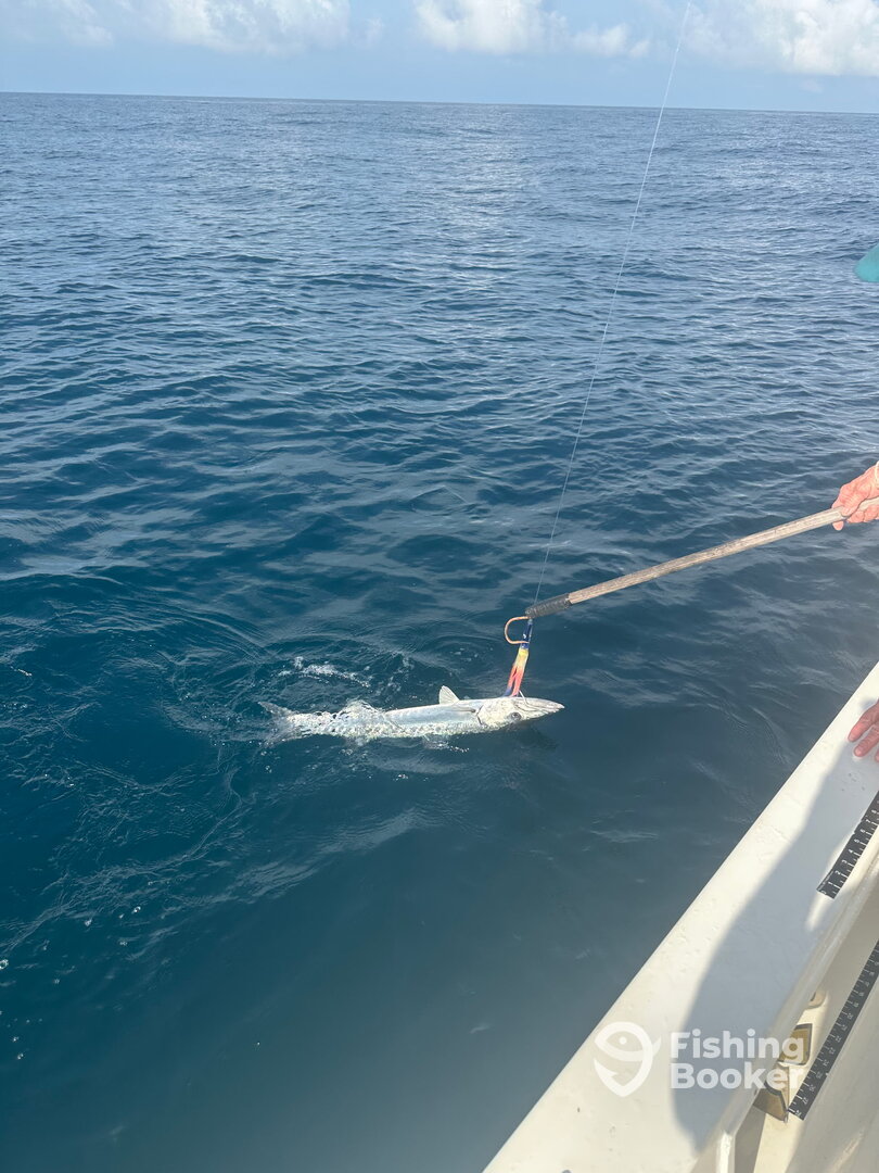 Panama City Report Photo 0