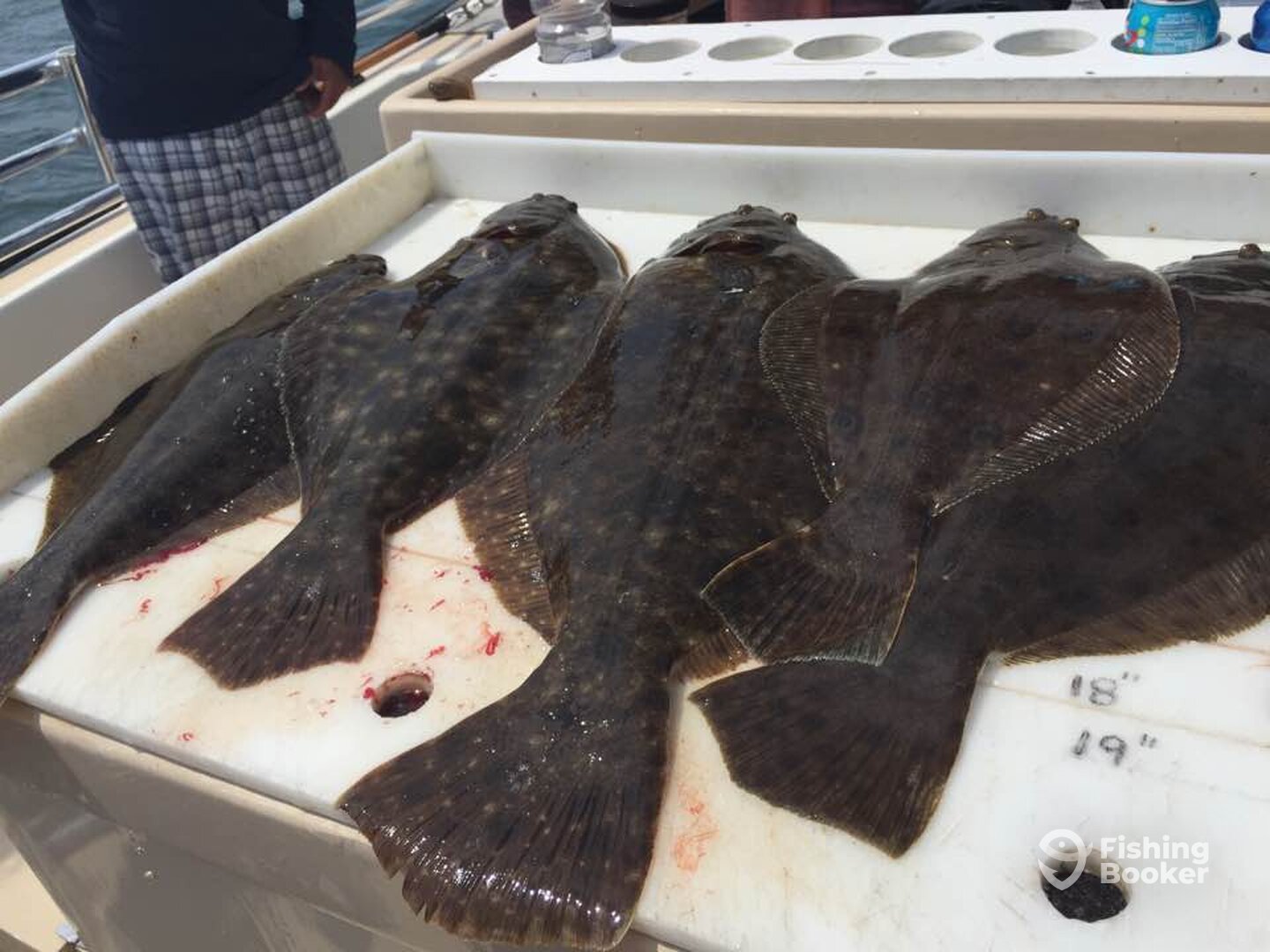 Montauk Report Photo 0