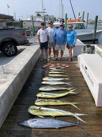 Gulf Stream Mahi